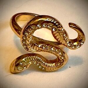 Snake ring